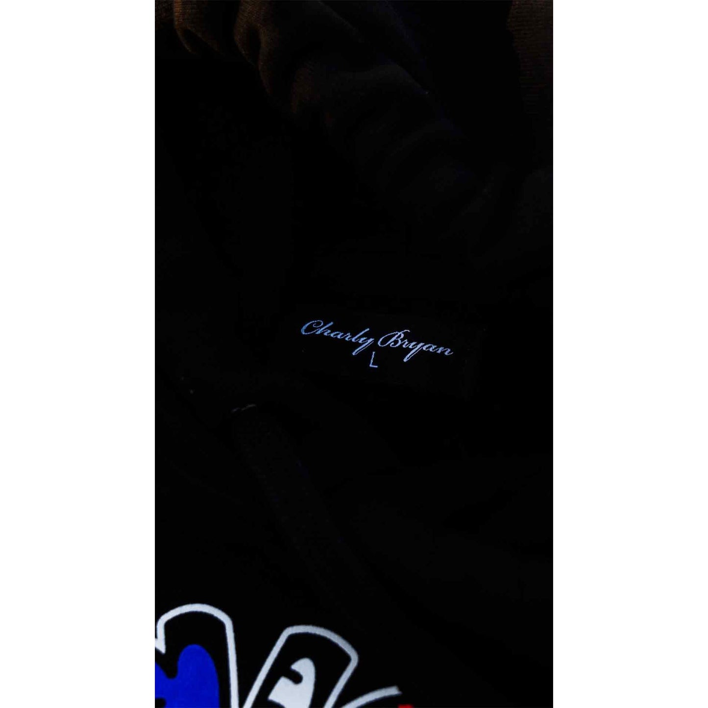 Charly Bryan "República Dominicana"  Premium Heavy Hoodie - Flag in my Heart Collection