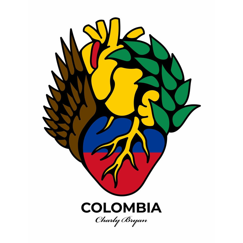 Charly Bryan "Colombia Heart" T-Shirt - Flag in my heart collection